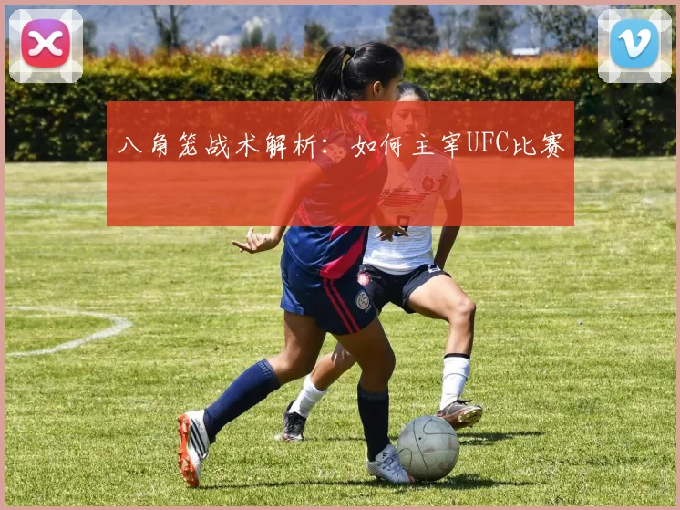 八角笼战术解析:如何主宰UFC比赛