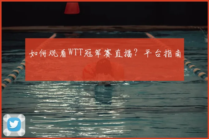 如何观看WTT冠军赛直播?平台指南