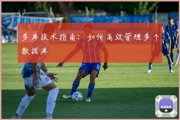 多库技术指南:如何高效管理多个数据库