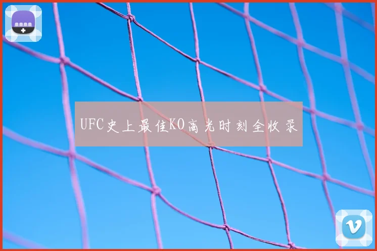 UFC史上最佳KO高光时刻全收录