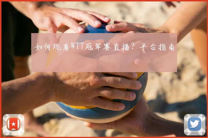 如何观看WTT冠军赛直播？平台指南