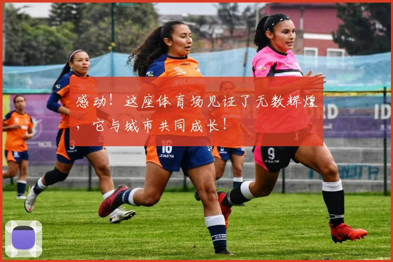感动!这座体育场见证了无数辉煌,它与城市共同成长!