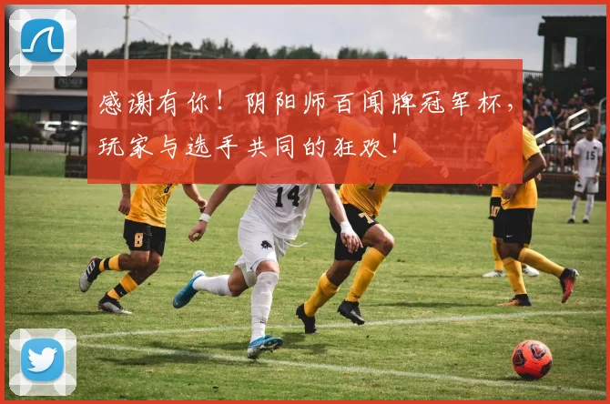 感谢有你!阴阳师百闻牌冠军杯,玩家与选手共同的狂欢!