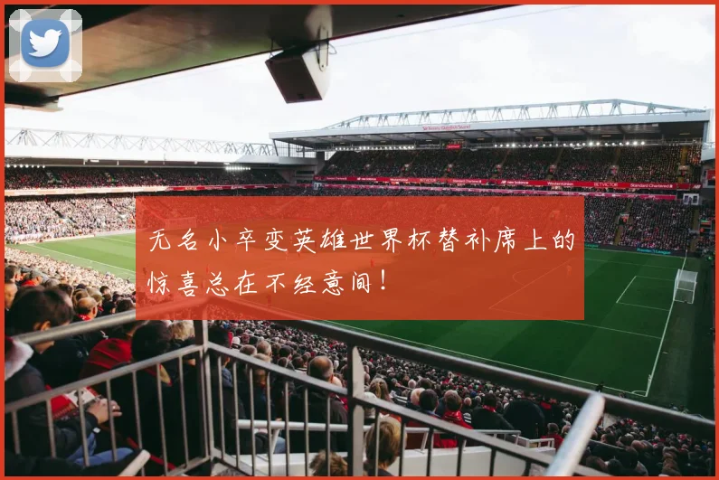 无名小卒变英雄世界杯替补席上的惊喜总在不经意间!