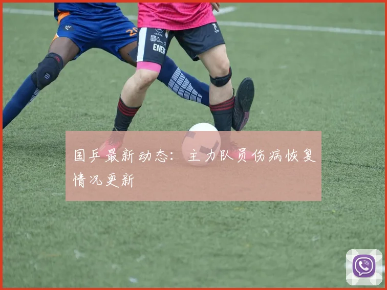 国乒最新动态：主力队员伤病恢复情况更新