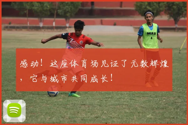 感动!这座体育场见证了无数辉煌,它与城市共同成长!